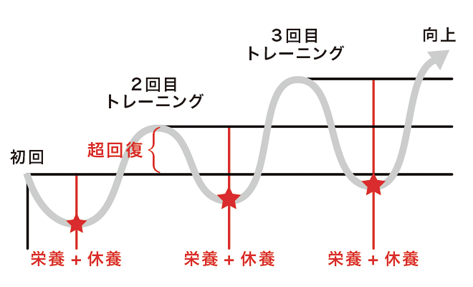 筋トレのメカニズム