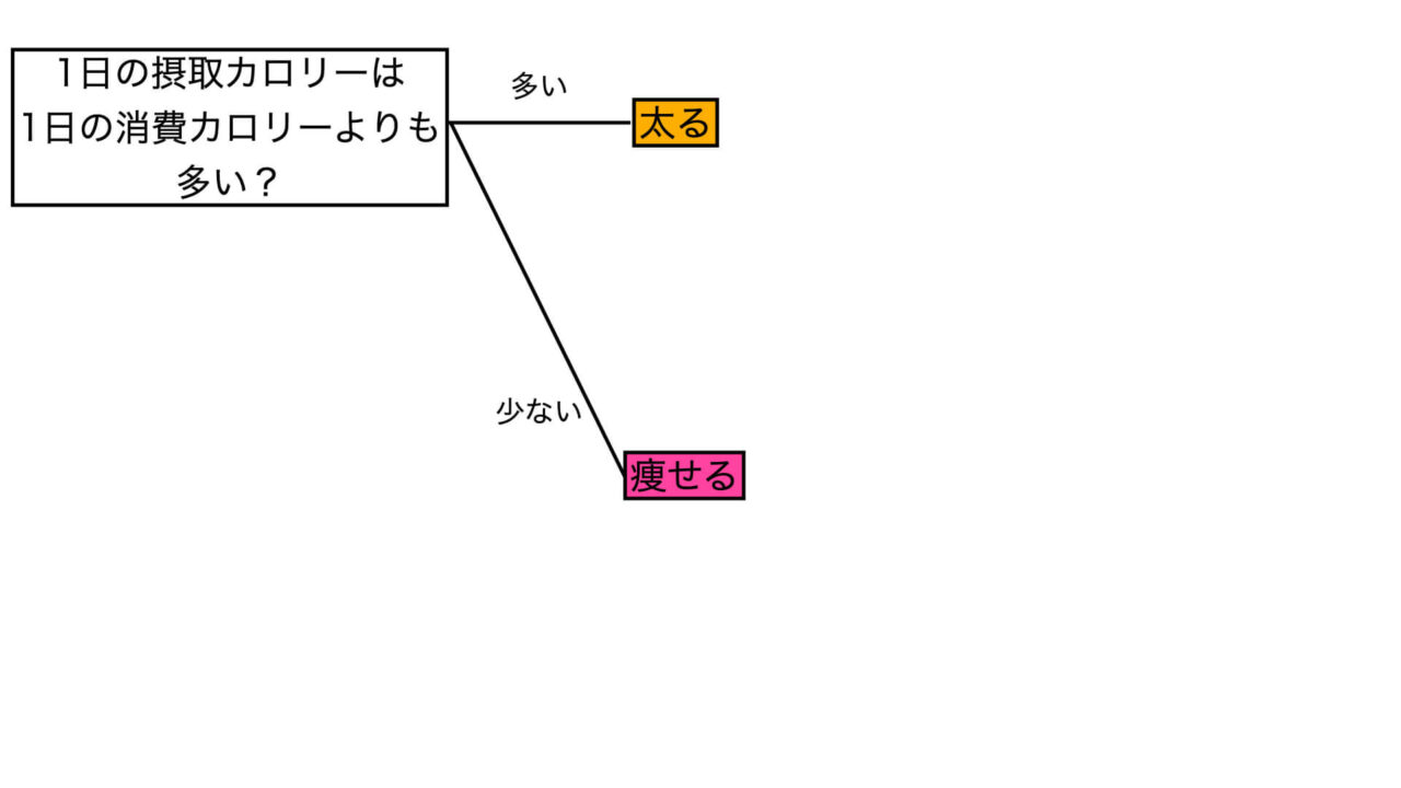 ダイエットのフローチャート