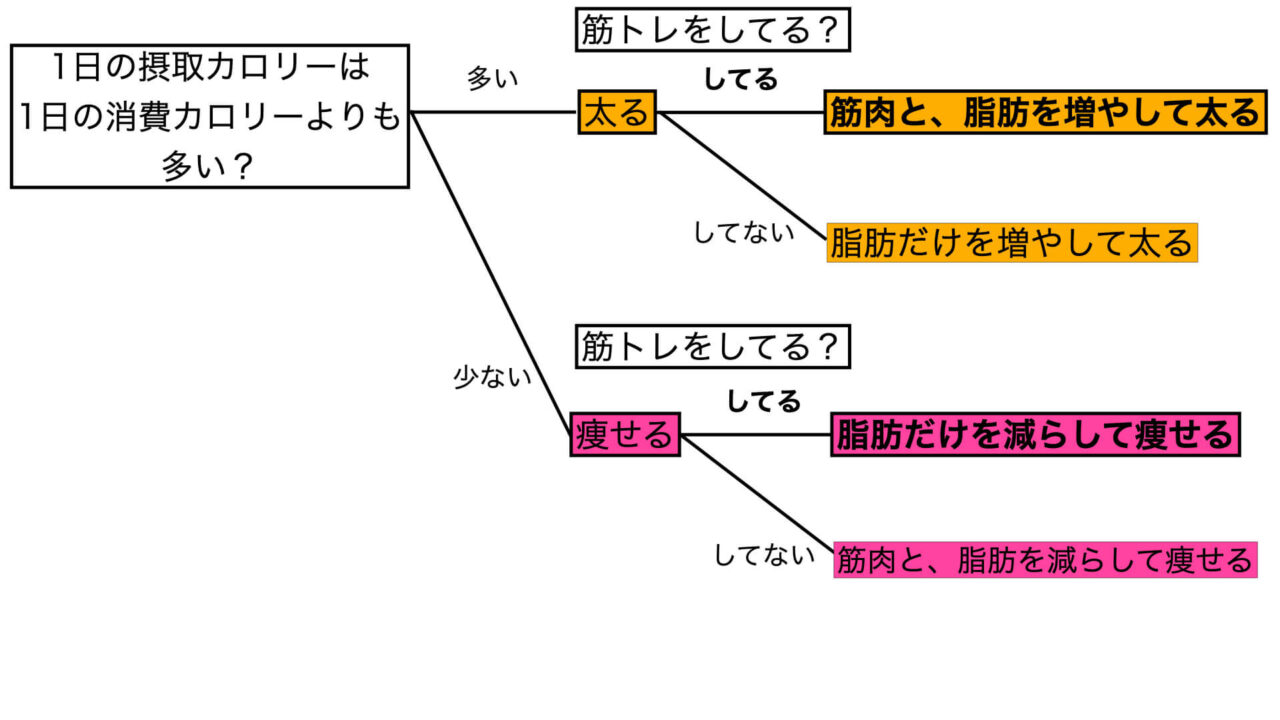 ダイエットのフローチャート、筋トレ考慮版